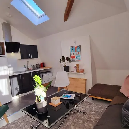 Centre Europe, Bienvenue Chez Nestyou * Lille